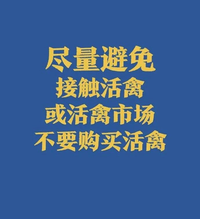 92ff50d5f7254ffc85fa1b9273ebad36.png