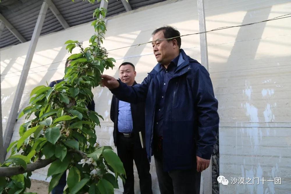 b25e55724d404fd6b5e10bb5474579f0.jpg b25e55724d404fd6b5e10bb5474579f0.jpg