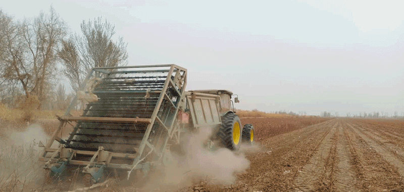 2bb757a5211a41bbae8d3d243844cf79.gif