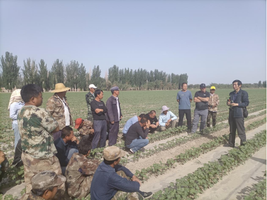 f9e15c6c86bf44d49a0746457c62110b.png f9e15c6c86bf44d49a0746457c62110b.png