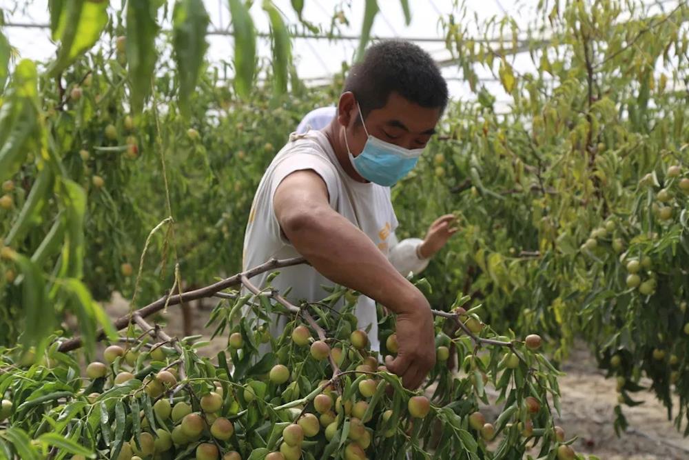 3378d3ea8a6d4a91b99871af5defbca0.jpg 3378d3ea8a6d4a91b99871af5defbca0.jpg