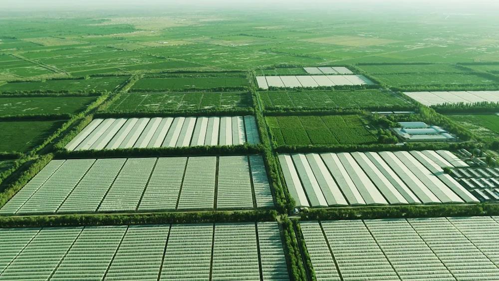 a0e3749e7e3148e4a39ba57fff80ab9d.jpg a0e3749e7e3148e4a39ba57fff80ab9d.jpg