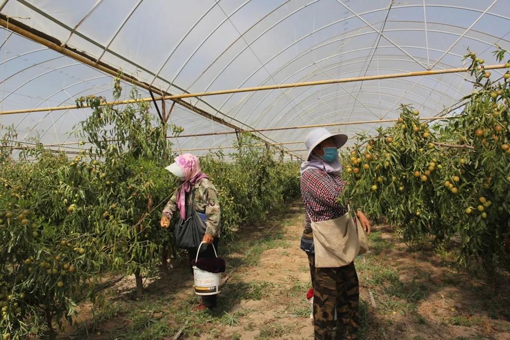 a46b950f299546c1be2d282ba885aa04.jpg a46b950f299546c1be2d282ba885aa04.jpg