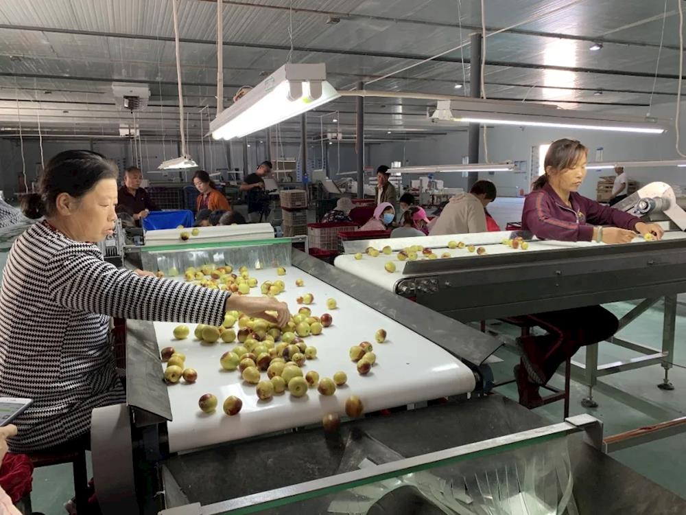 f65d5404073e4686b78614fa3bc0ebf6.jpg f65d5404073e4686b78614fa3bc0ebf6.jpg