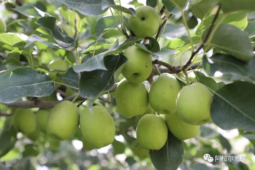 ab8ecab601964917b32a1e52e512157f.jpg ab8ecab601964917b32a1e52e512157f.jpg