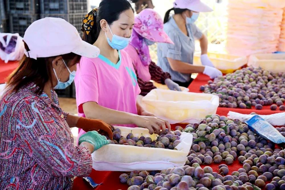 327ae2c552b1452f837c59d1d2ccee80.jpg 327ae2c552b1452f837c59d1d2ccee80.jpg