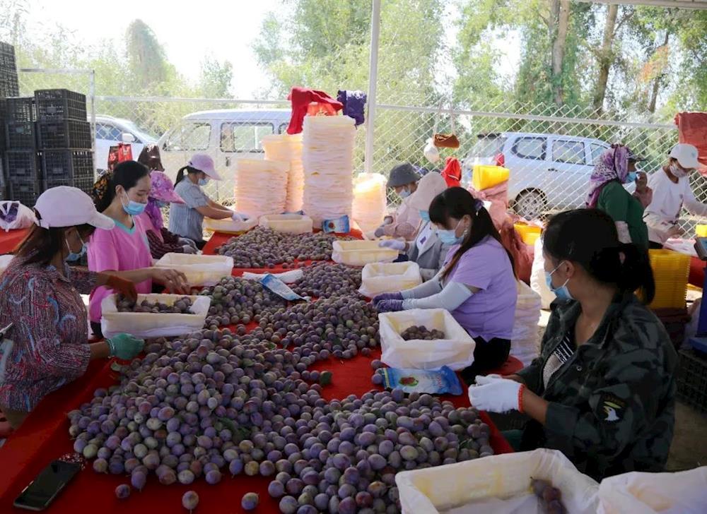 af89efb1f4e44f90837967e580a6e514.jpg af89efb1f4e44f90837967e580a6e514.jpg