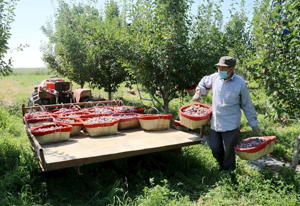 f8c9615305554876b8912fdded61a6b8.jpg f8c9615305554876b8912fdded61a6b8.jpg