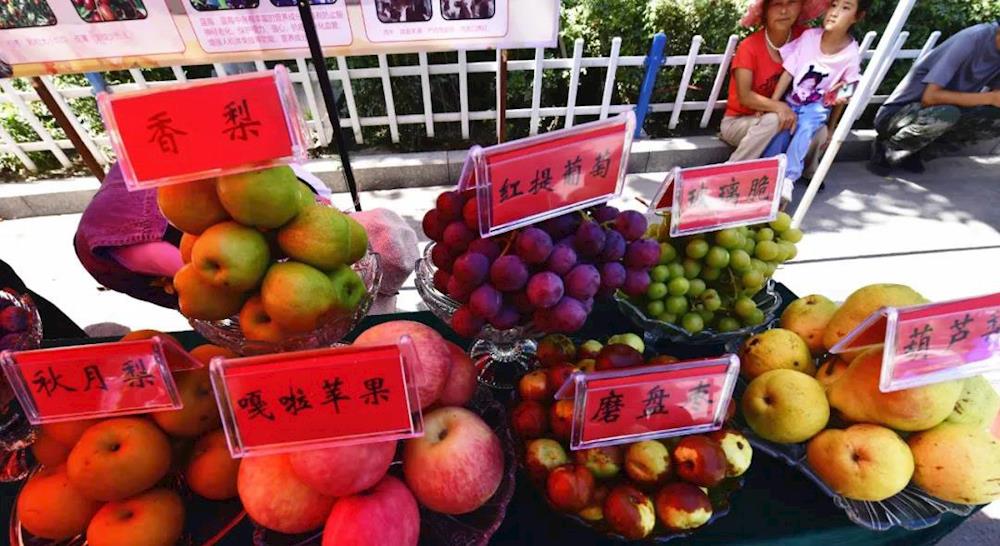 e4946e6bdd3a4428af54ca8724131d24.jpg e4946e6bdd3a4428af54ca8724131d24.jpg