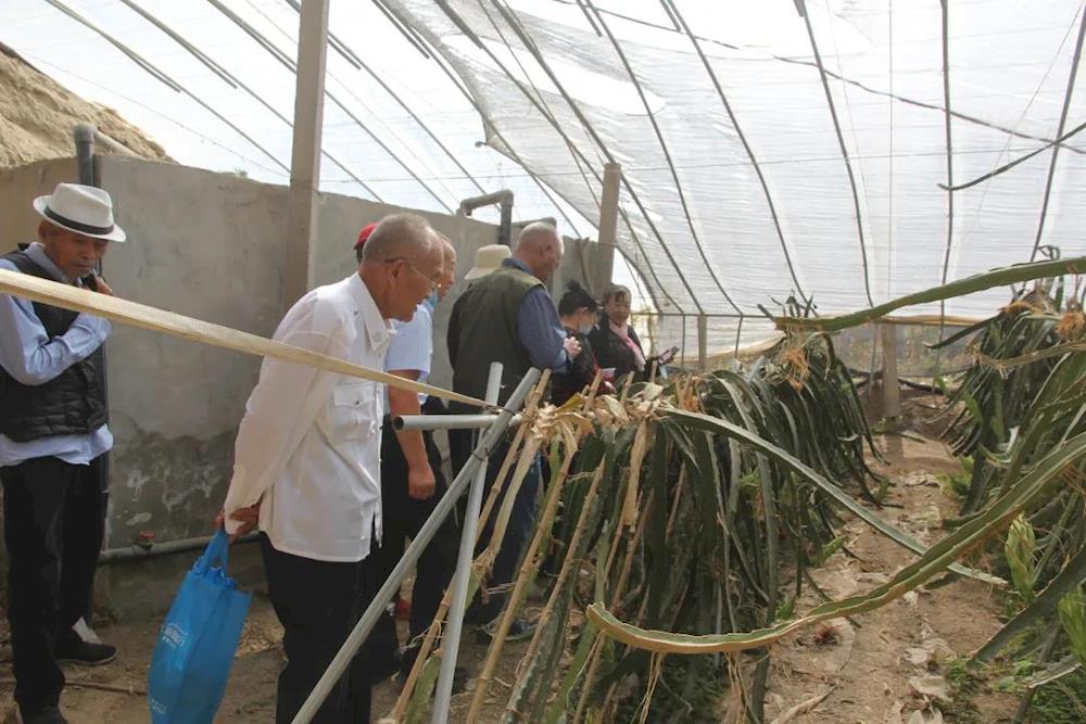 0efa3a0cab464a798a3ed3a5e48466de.jpg 0efa3a0cab464a798a3ed3a5e48466de.jpg