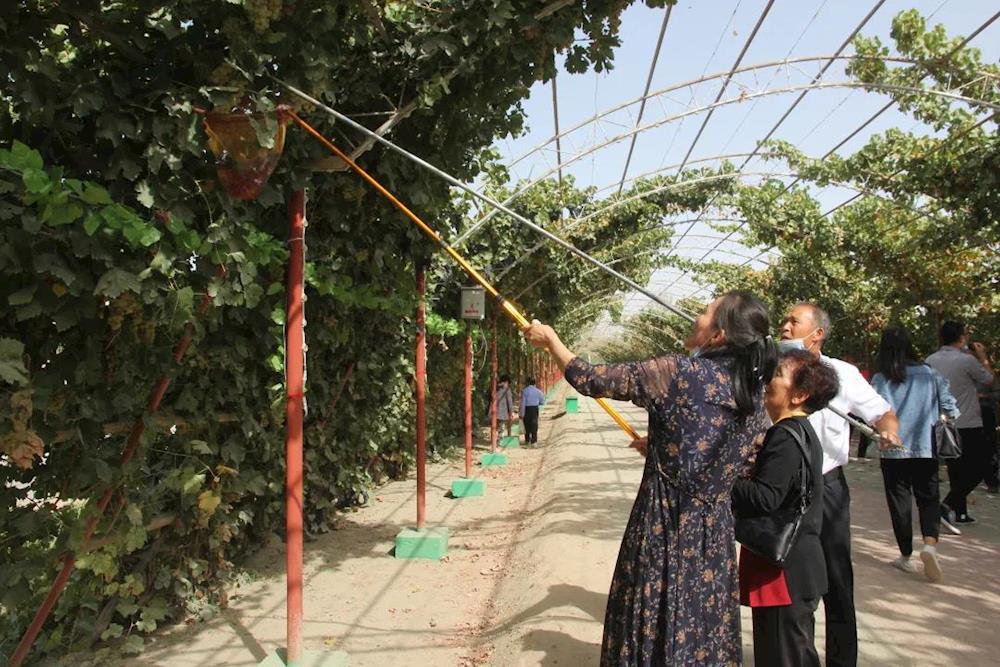 b74f6f2b9d46427ca73a84ae1d320fb2.jpg b74f6f2b9d46427ca73a84ae1d320fb2.jpg