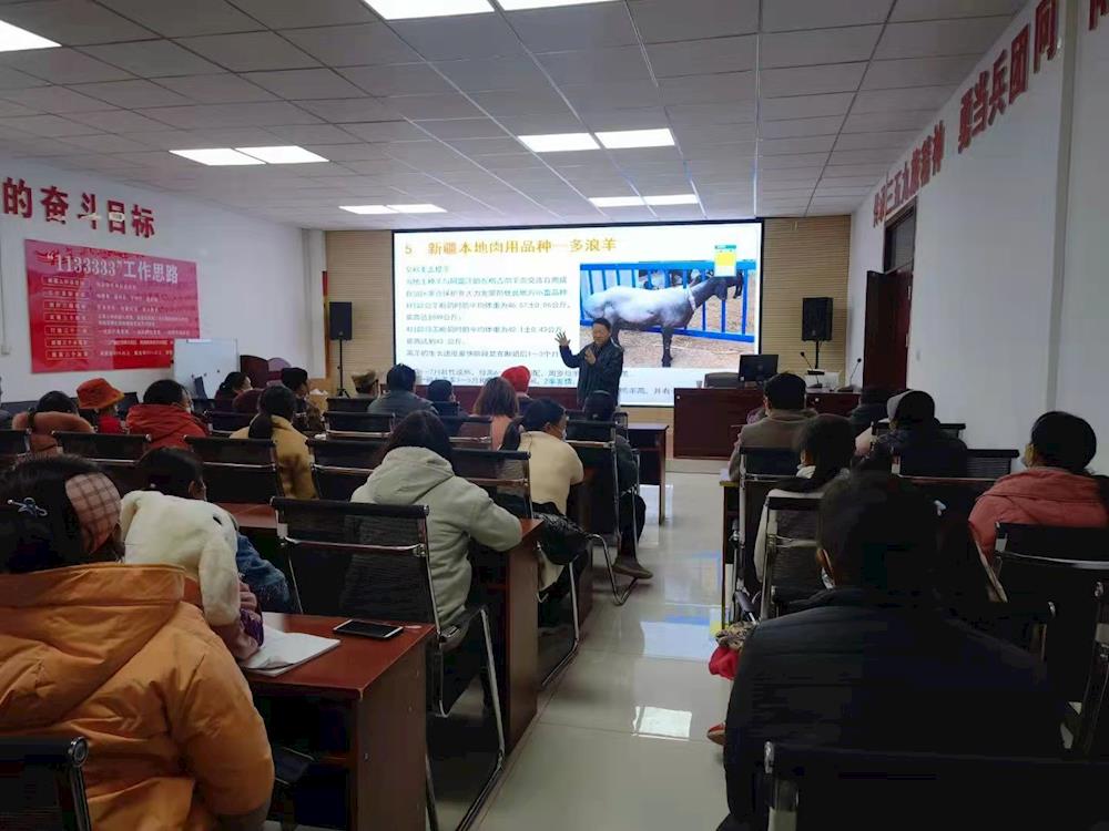 a437ff5326414a128bdf41b6bef178fe.jpg a437ff5326414a128bdf41b6bef178fe.jpg