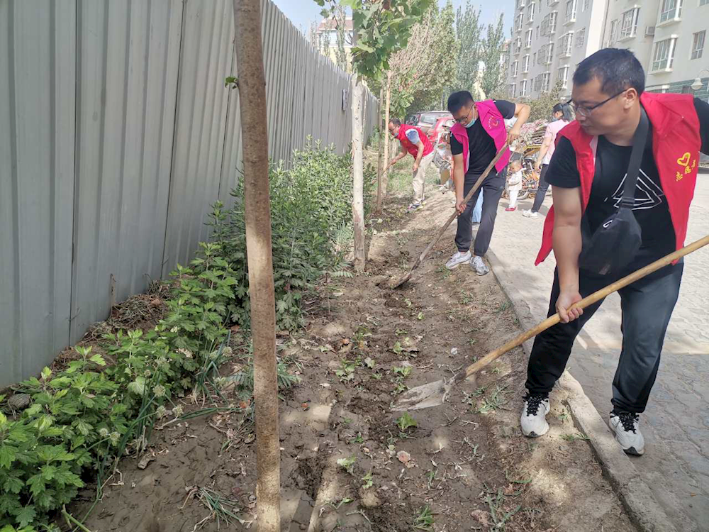 新时代文明实践 | 毁绿种菜要不得 美丽家园靠你我 