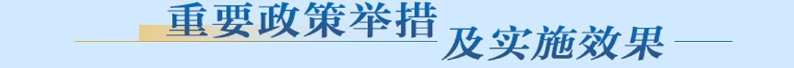 重要政策举措及实施效果