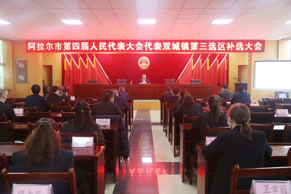 双城镇扎实做好市人大代表补选工作