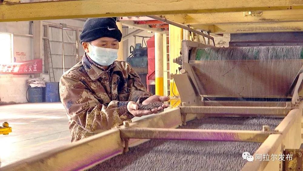 塔河种业公司开足马力产棉种备春耕