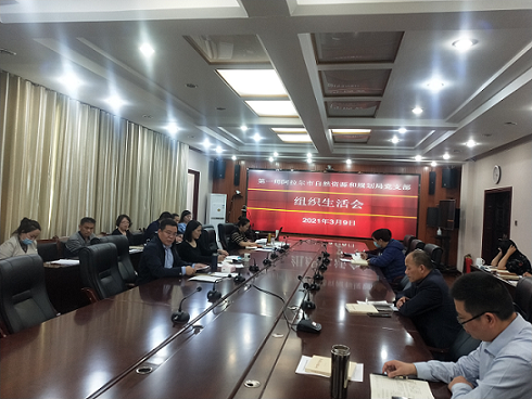 师市自然资源和规划局党支部召开2020年度组织生活会暨民主评议党员大会