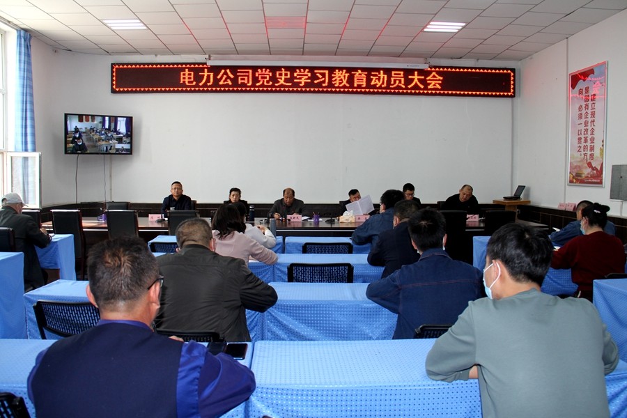 电力公司召开党史学习动员大会