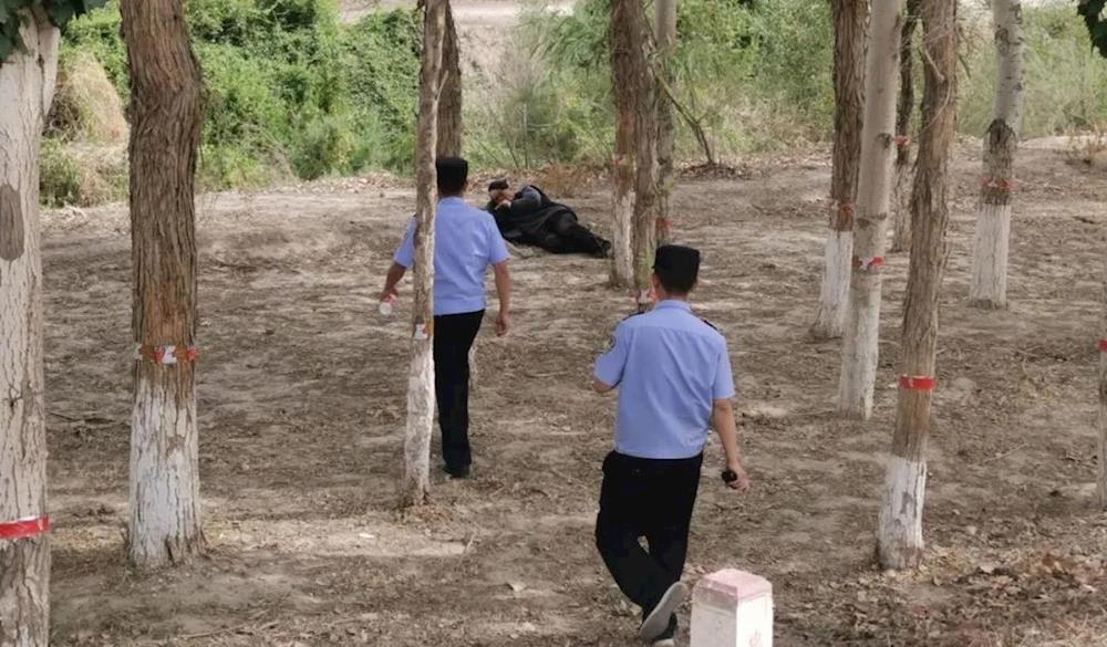 走心暖心践初心大事小事办实事！
