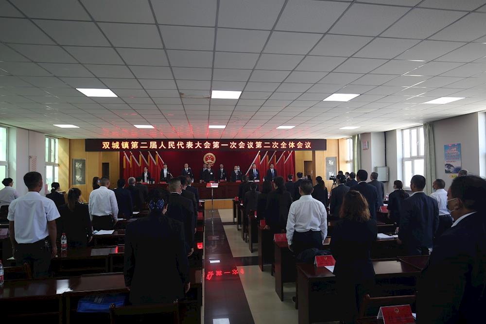 阿拉尔市双城镇第二届人民代表大会顺利召开