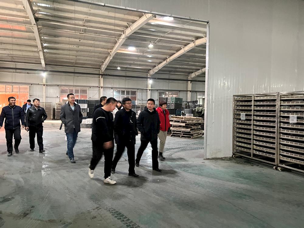 新建农垦科学院赴一师八团开展红枣产业发展调研工作