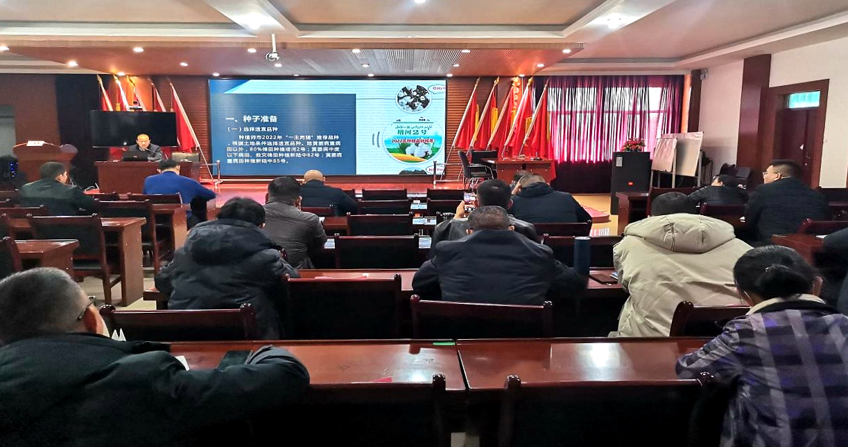 技术培训为棉花生产提质增效保驾护航