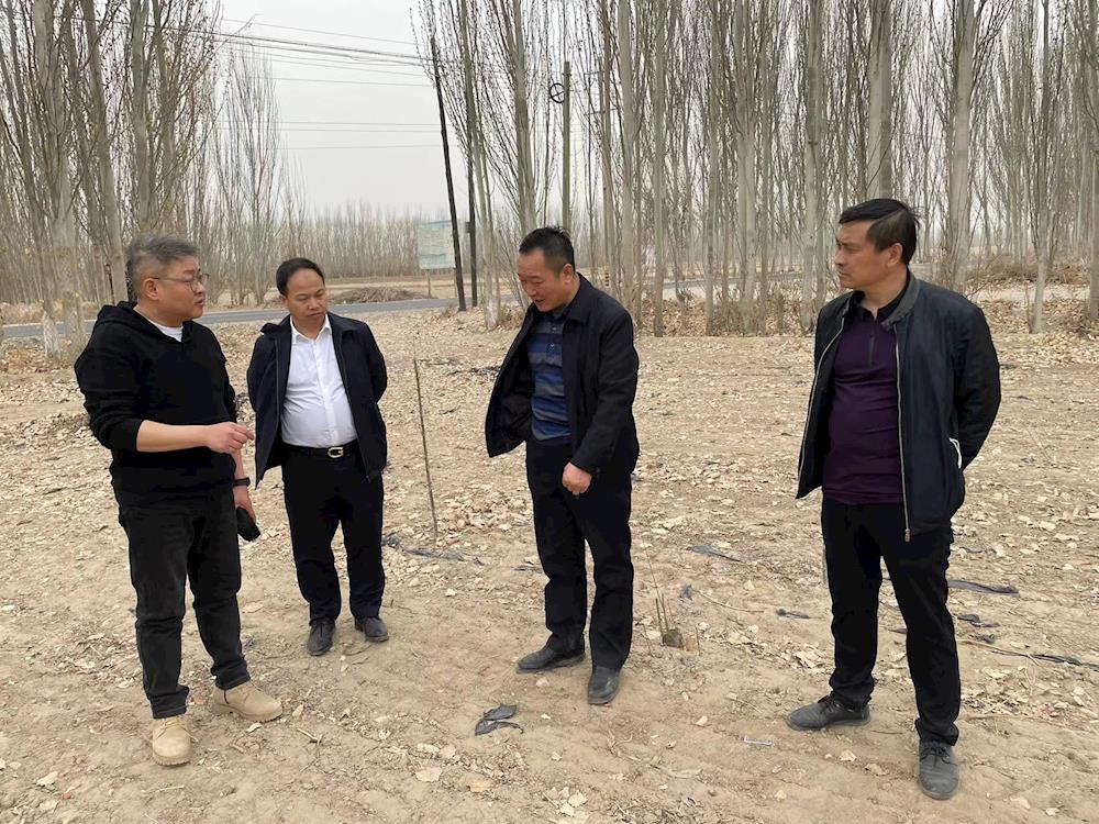 一师八团与陕西海升果业洽谈高标准果园建设项目