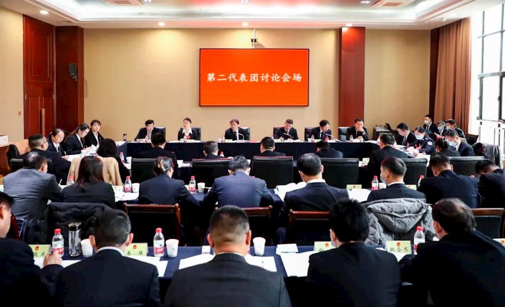 肖勇参加市五届人大三次会议分组审议