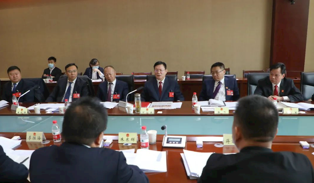 丁翊强参加市五届人大三次会议分组审议
