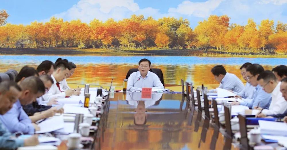 师市党委常委会召开会议