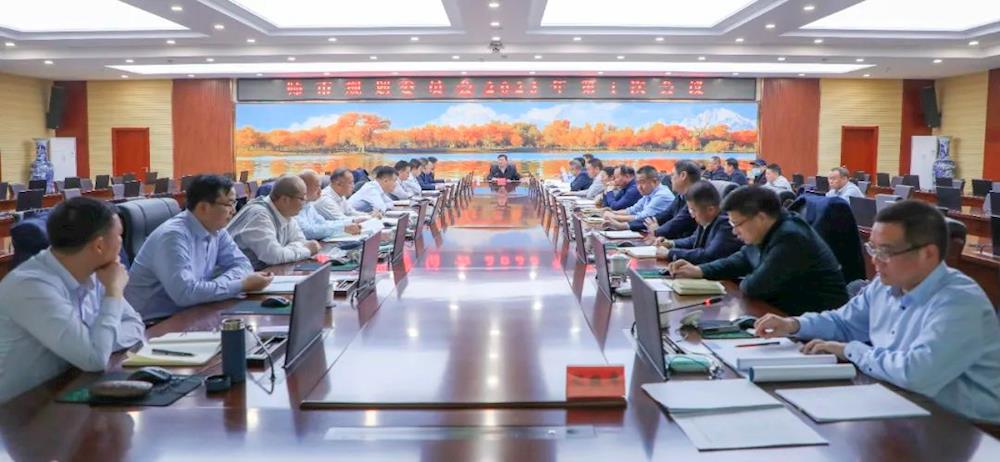 师市规划委员会召开2023年第1次会议