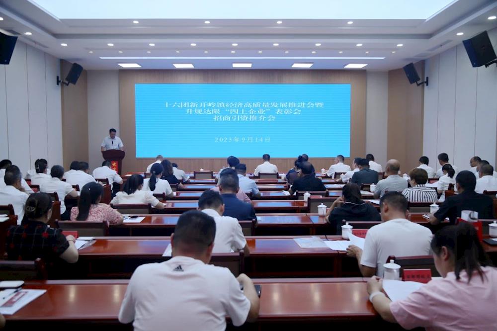 十六团新开岭镇召开经济高质量发展推进会暨升规达限“四上企业”表彰会招商引资推介会