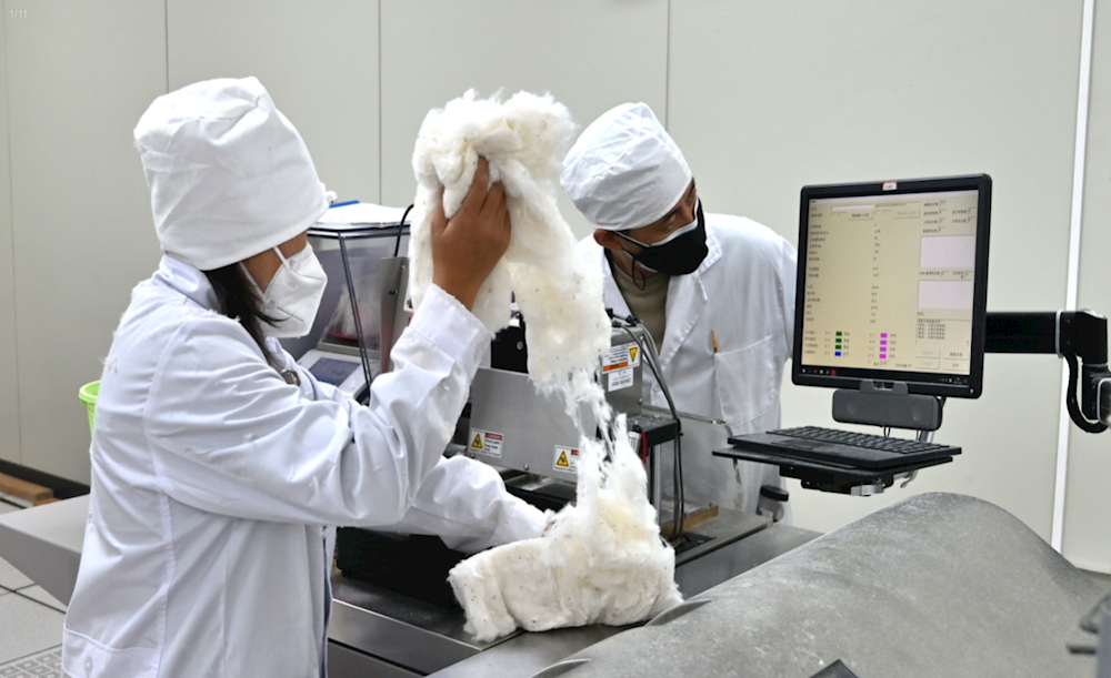 中国棉花公证检验阿拉尔实验室 多措并举提高检验相符率