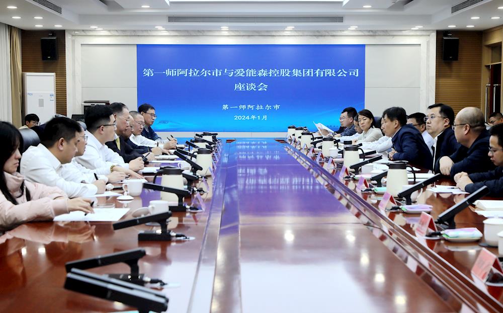 师市与爱能森控股集团有限公司举行座谈会