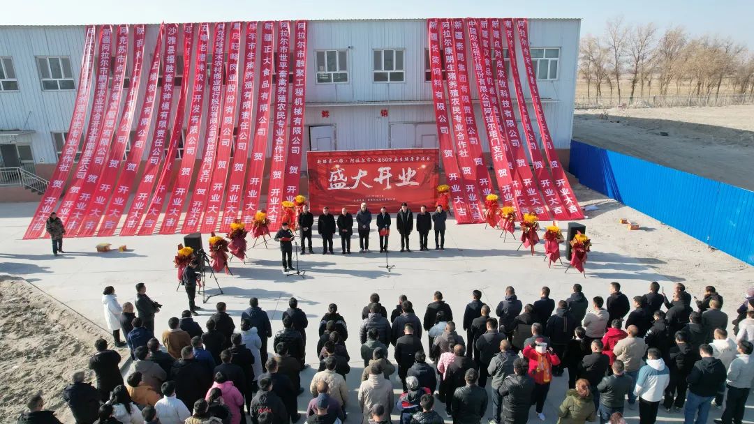 八团新疆领达畜牧有限公司50万头生猪定点屠宰厂开业