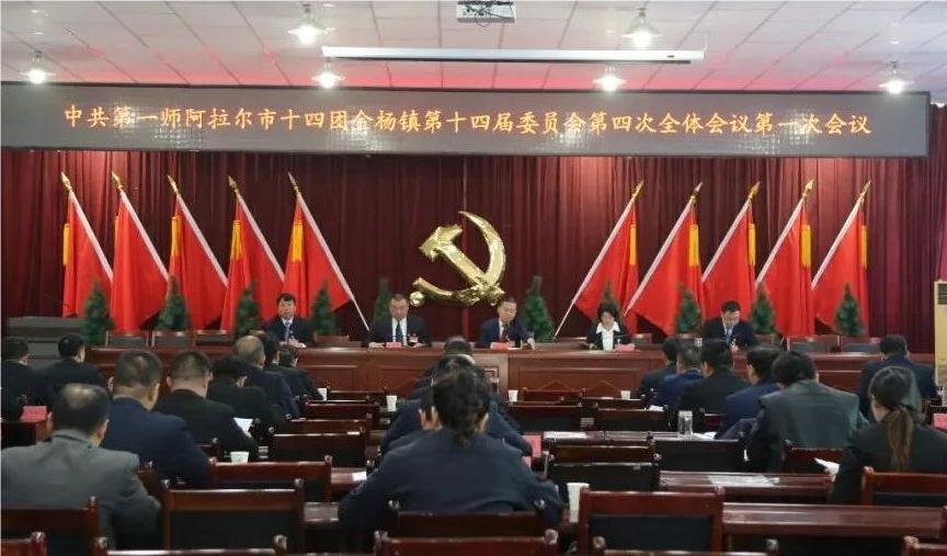 中国共产党十四团金杨镇第十四届委员会第四次全体会议隆重召开