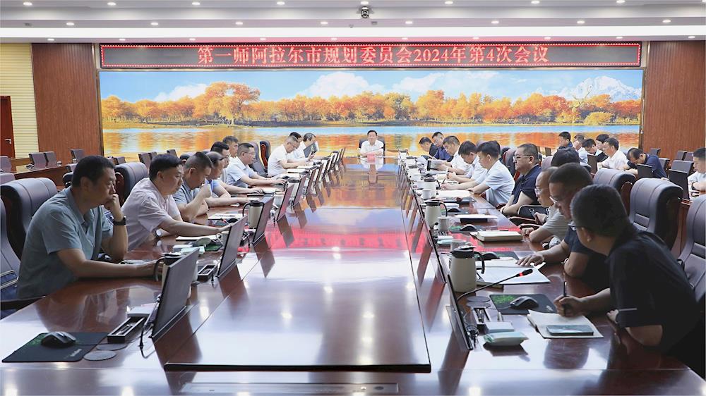 师市规划委员会召开会议