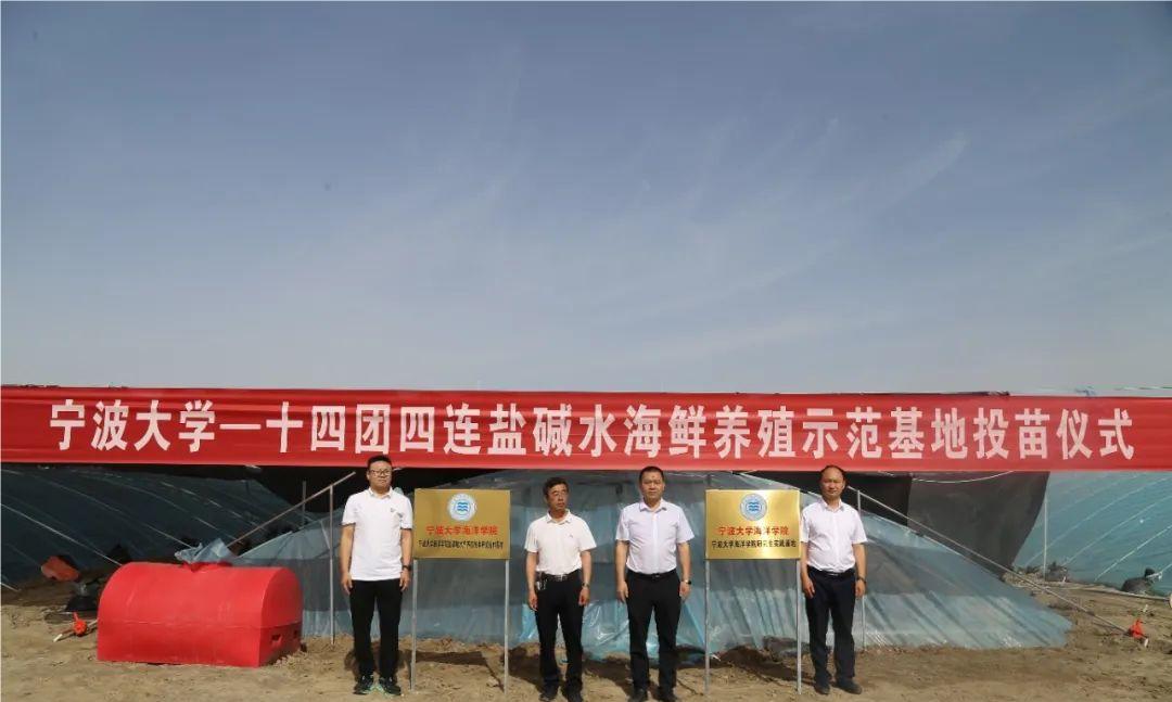 三门青蟹成功入驻十四团盐碱地
