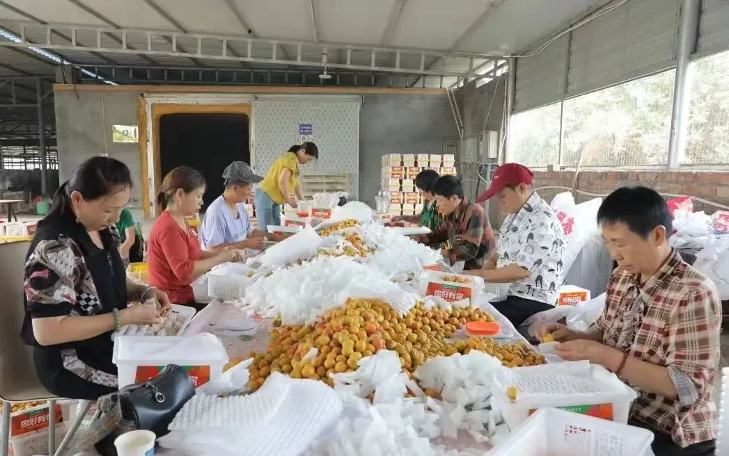 张学军在师市2024年第三季度重点经济工作动员部署会上做典型经验交流
