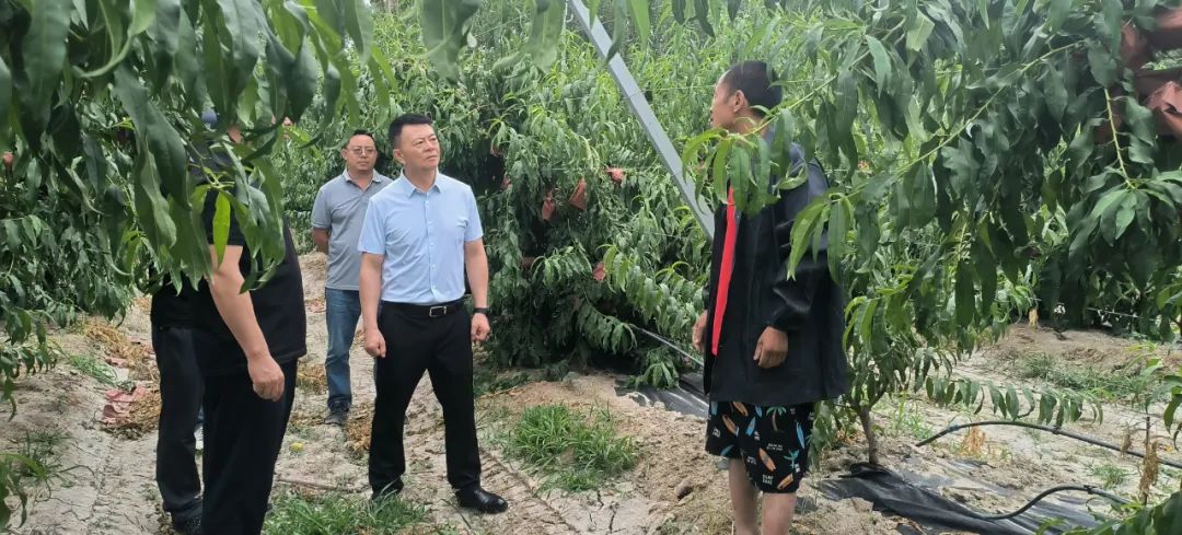 ​杨征宇一行到基层开展走访调研工作