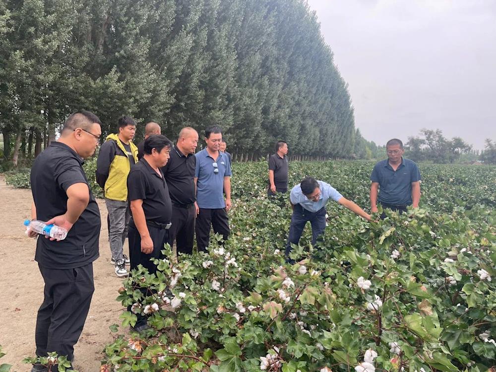 【农业动态】十二团连队领导干部赴七师学习交流