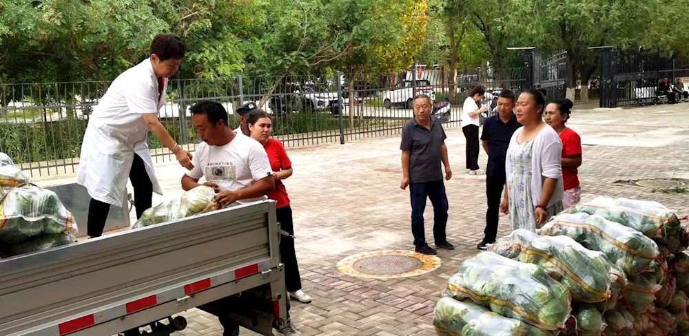 社会正能量丨“蔬”送爱心 传递温暖