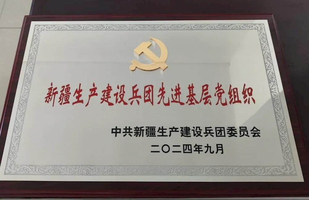 荣誉时刻 浙大邵逸夫阿拉尔医院医共体获兵团表彰