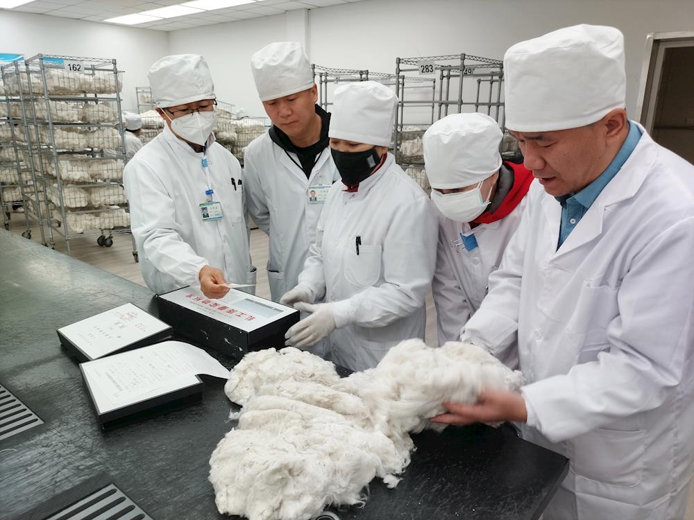 中国棉花公证检验阿拉尔实验室2024年10月已检棉花近5万吨