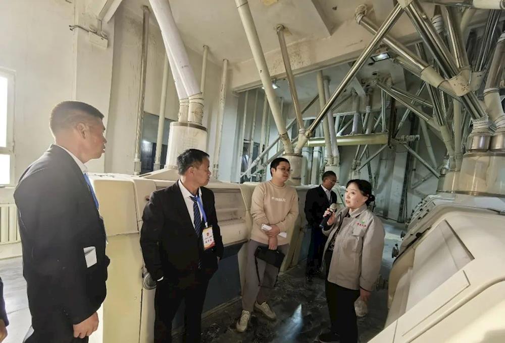 双城镇开展2024年人大代表视察活动