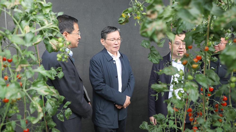 师市党委书记、政委丁翊强到国家农业科技园区、托喀依乡、百里画廊拓展区调研