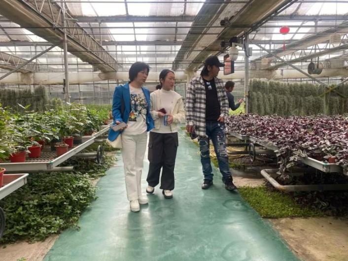 深耕景区创新提质工程    构造文旅发展新格局