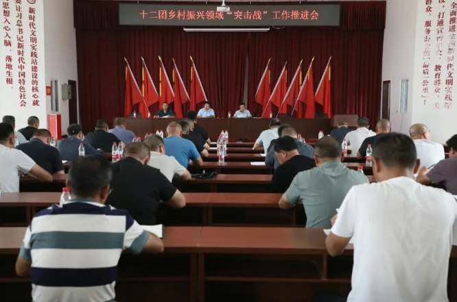 十二团召开第三次农业“三夏”工作检查总结大会 以查促改夯实农业生产基础