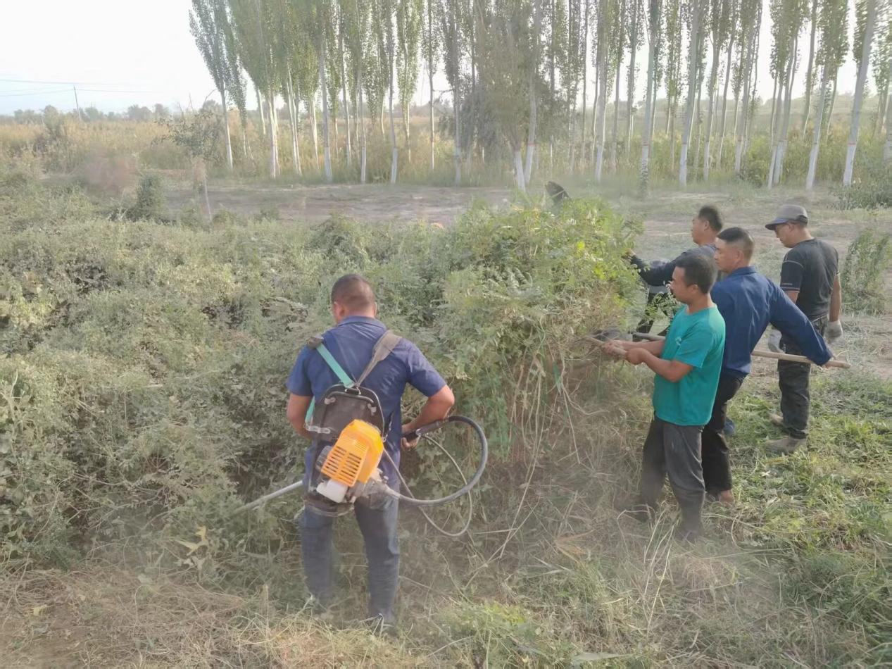 生态卫士 美丽八团  清除杂草靓环境齐心共建美家园
