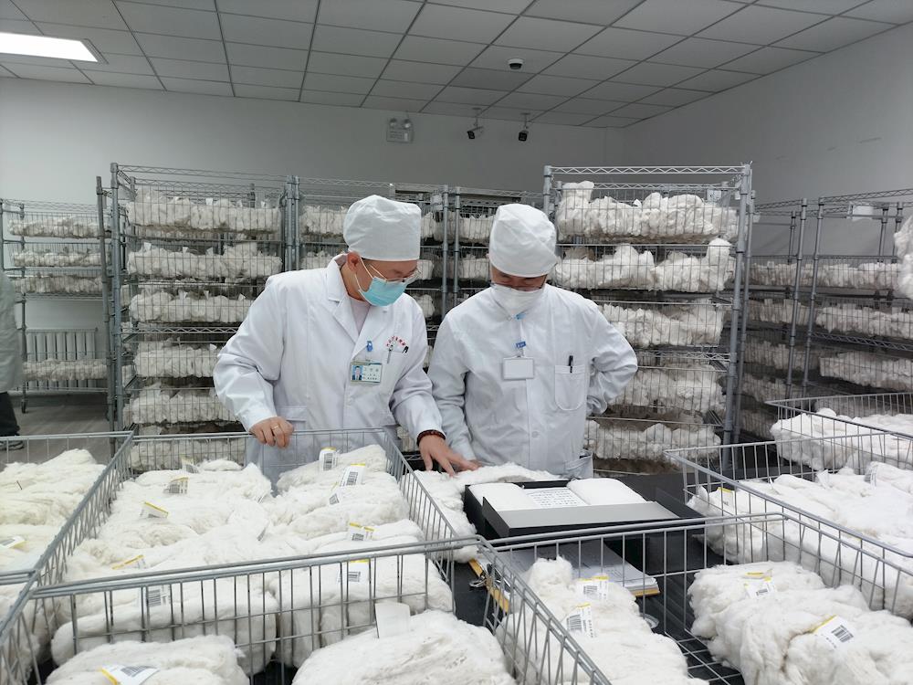 一手智能化，一手抓进度 ——阿拉尔实验室已检棉花突破6万吨